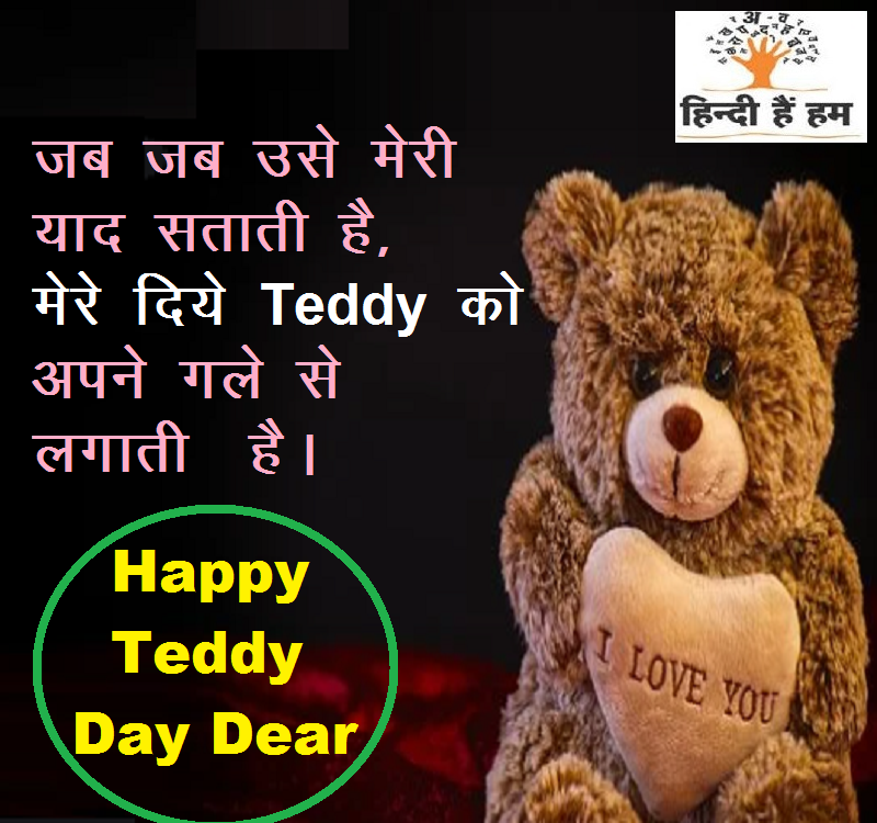 teddy day shayari in hindi